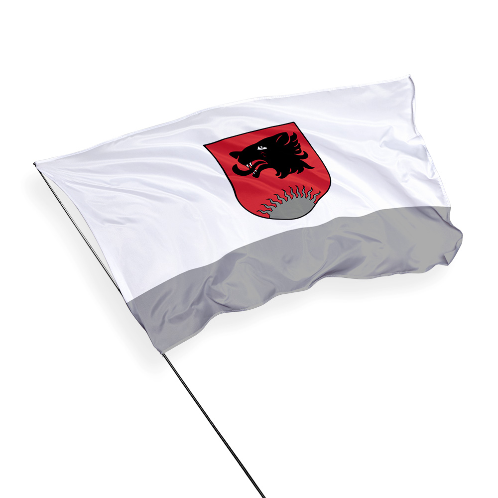 Balvu novada karogs